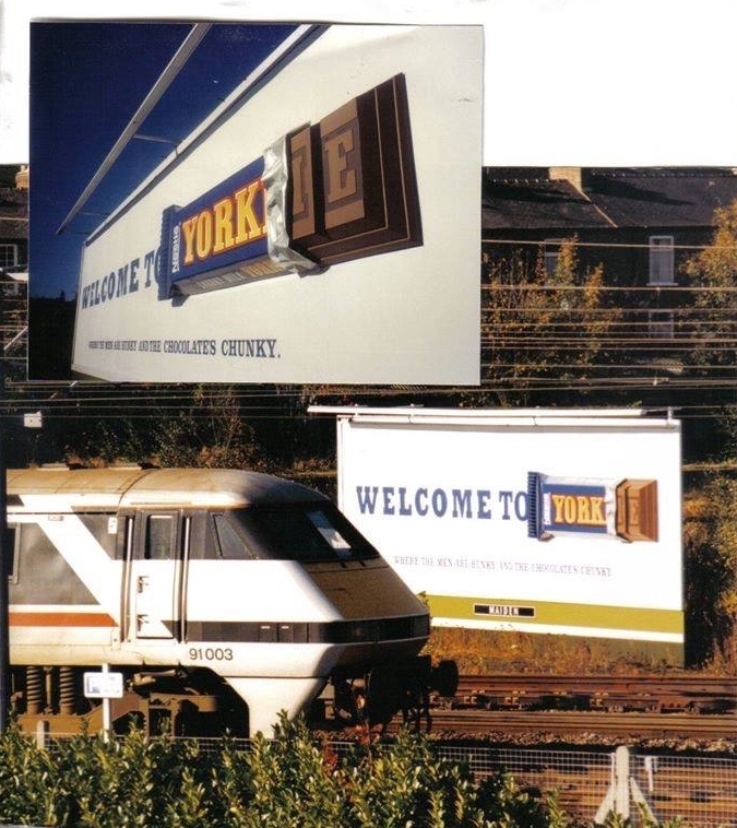 Yorkie Welcome To York