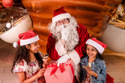 Mock Christmas Web Size 203