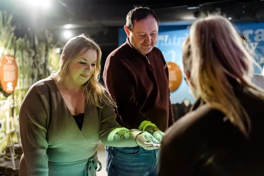 Yorks Chocolate Story Web Size 64 (1)