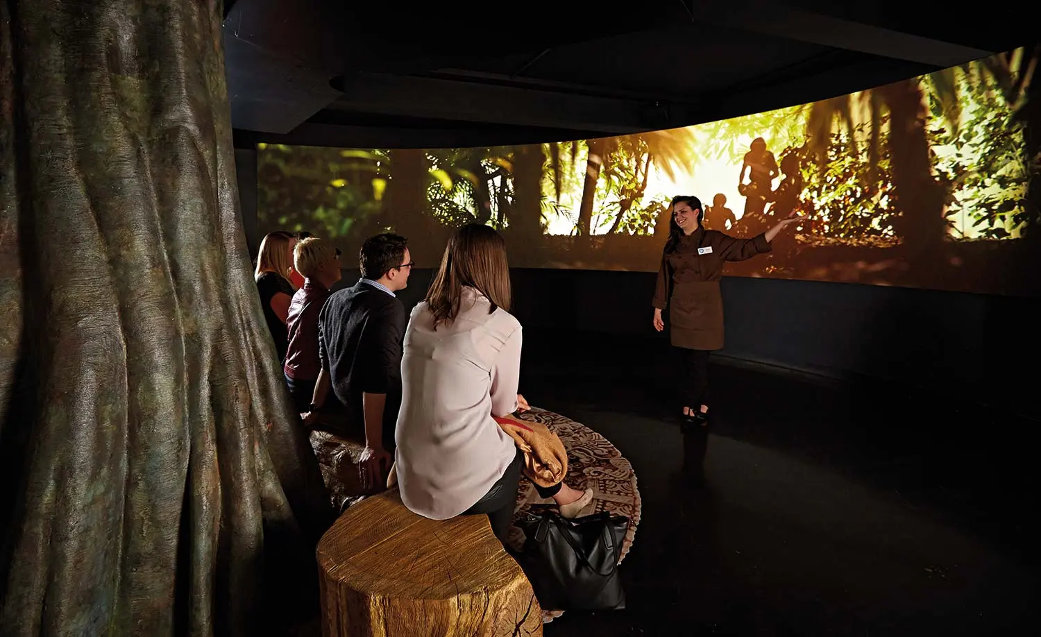 YCS Film Screen Web (1)