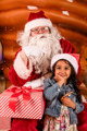 Mock Christmas Web Size 212