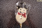 Mock Christmas Web Size 5